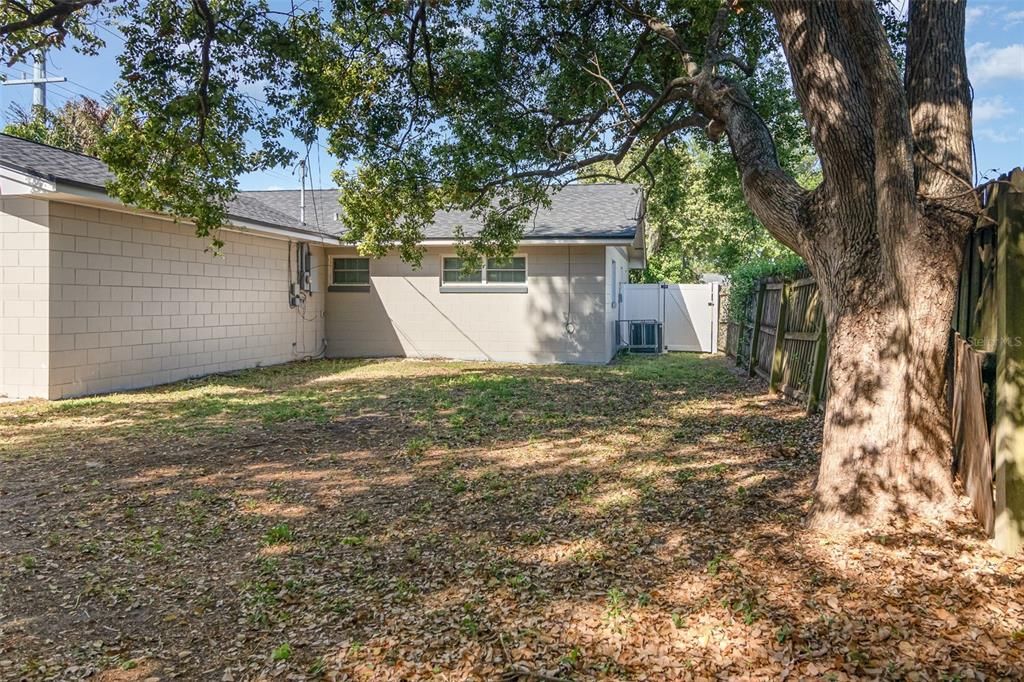 Backyard, Exterior
