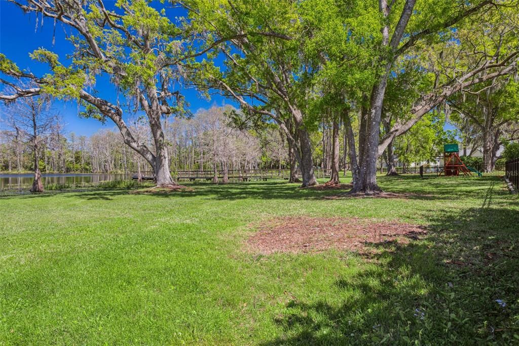Backyard, Exterior, Playground