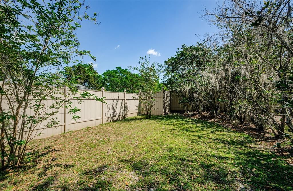 Backyard, Exterior