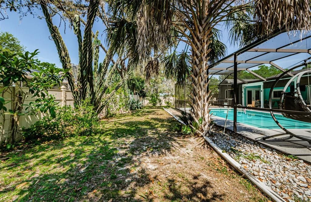 Backyard, Exterior, Pool