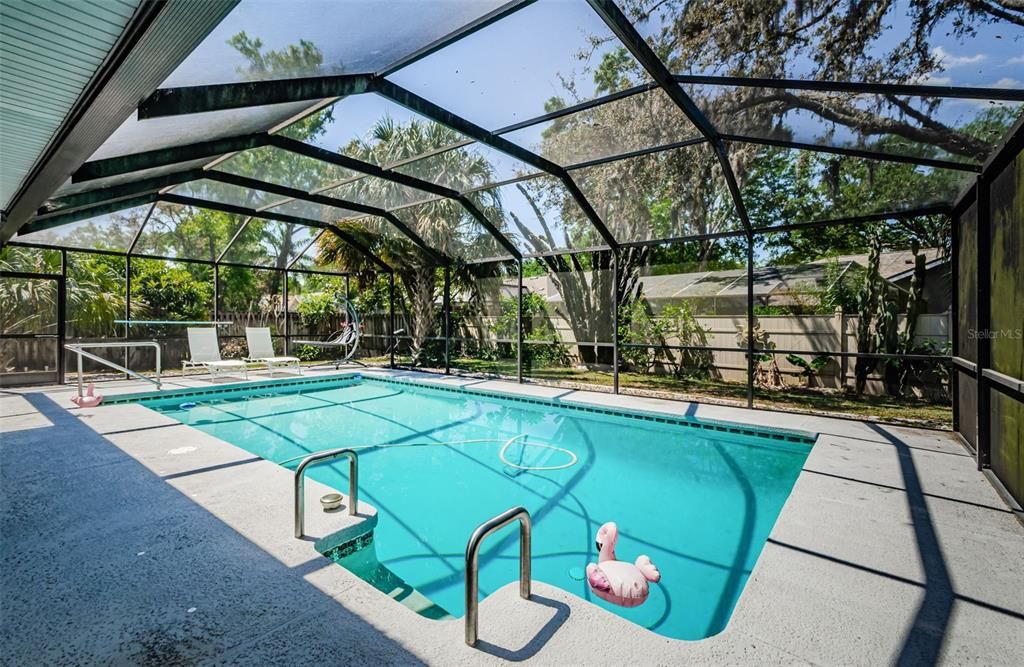 Glass Ceilings, Interior, Pool, Sun Room