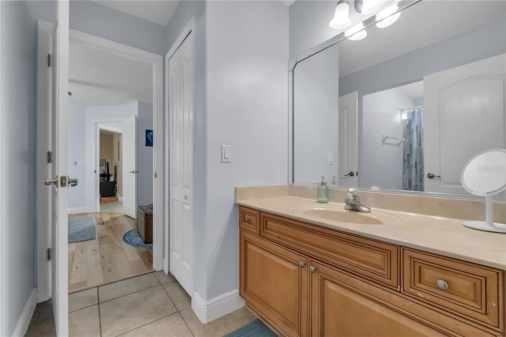 Bathroom, Interior, Wood Texture Flooring