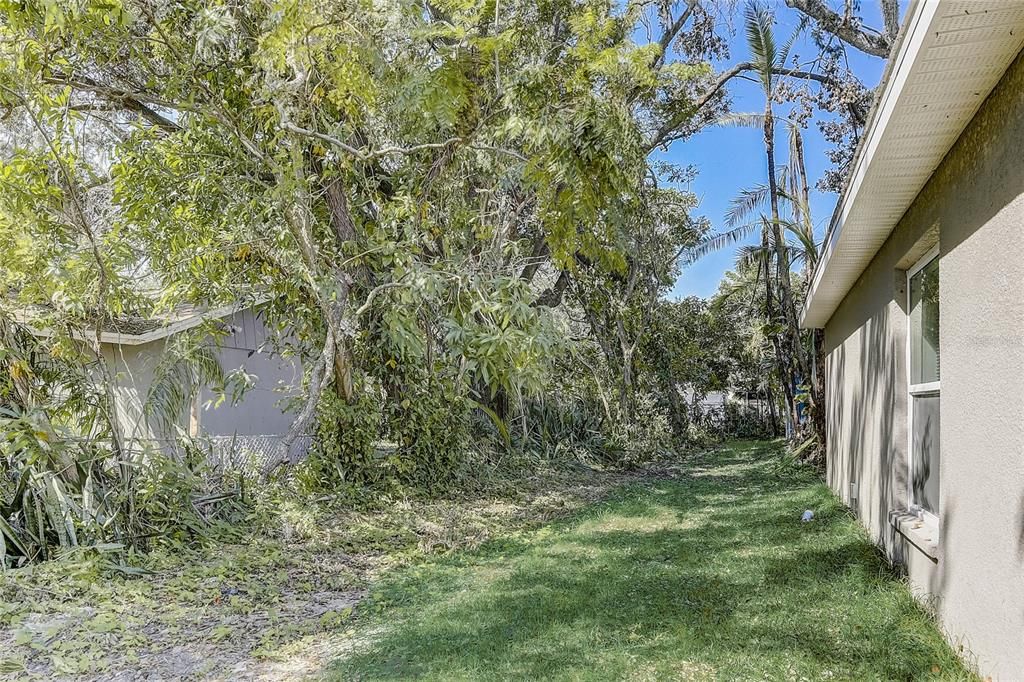Backyard, Exterior
