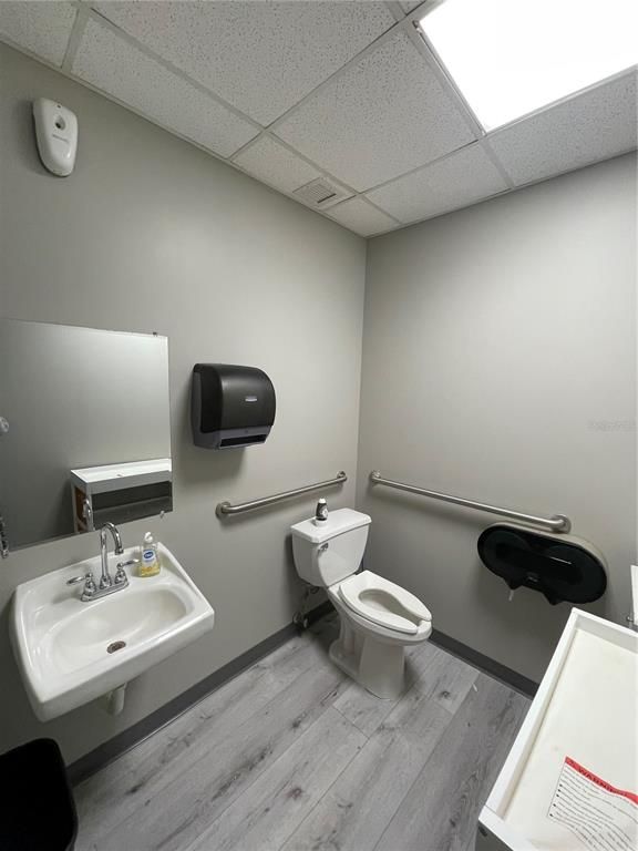 Bathroom, Interior, Wood Texture Flooring