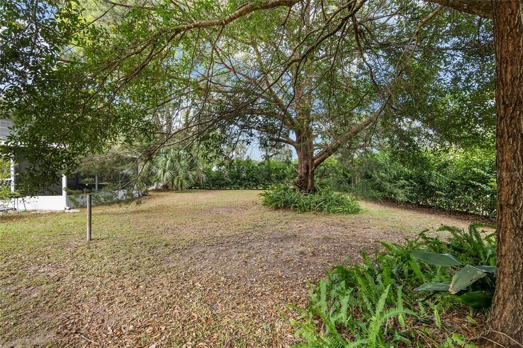 Backyard, Exterior