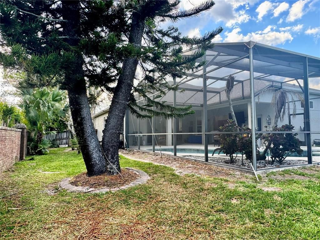 Backyard, Exterior