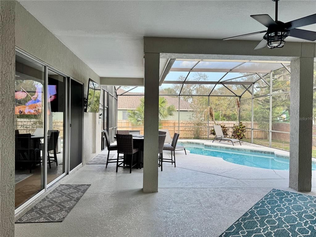 Glass Ceilings, Interior, Pool, Sun Room