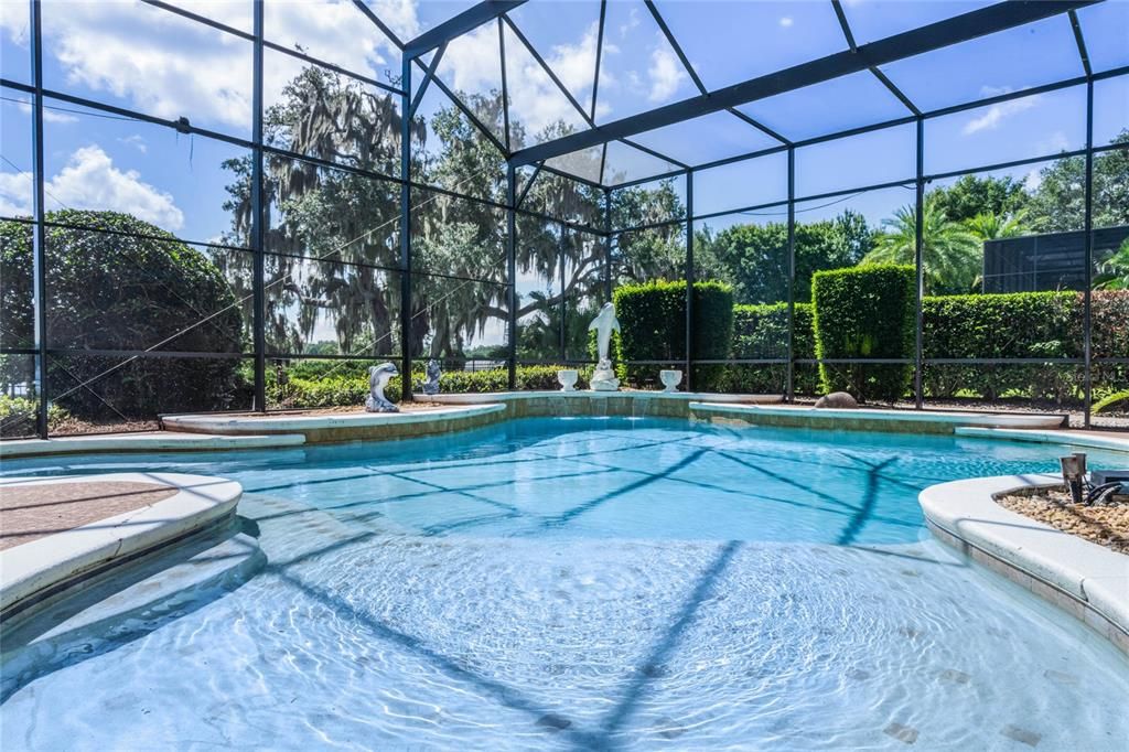 Glass Ceilings, Interior, Pool, Sun Room