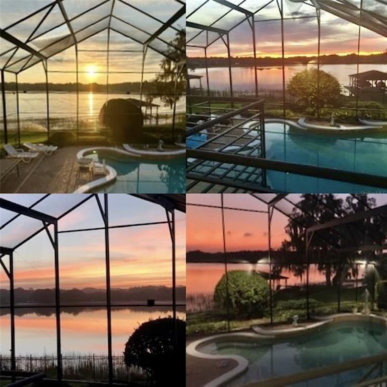 Glass Ceilings, Interior, Pool, Sun Room, Water