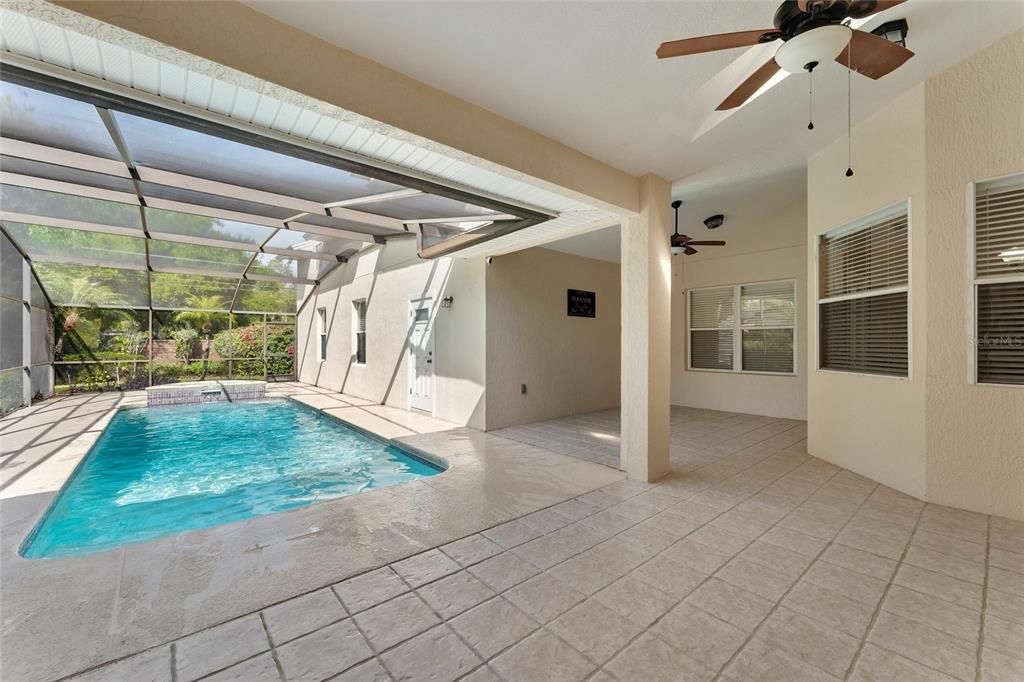 Glass Ceilings, Interior, Pool, Sun Room