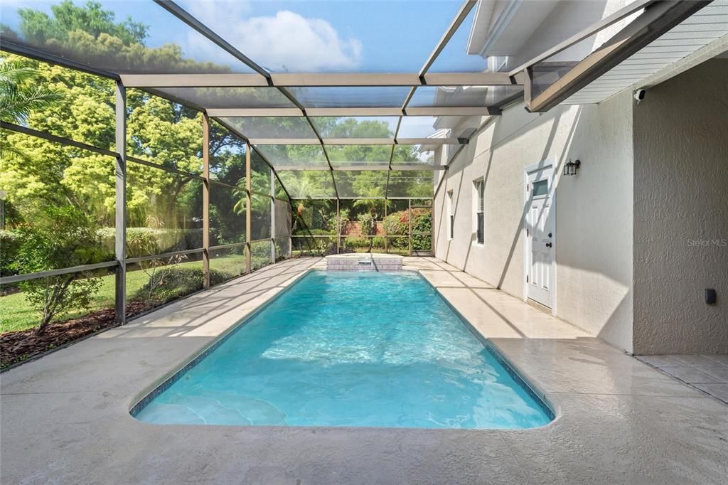 Glass Ceilings, Interior, Pool, Sun Room