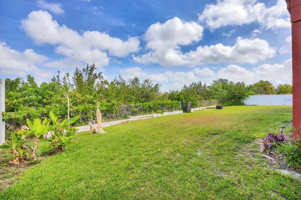 Backyard, Exterior