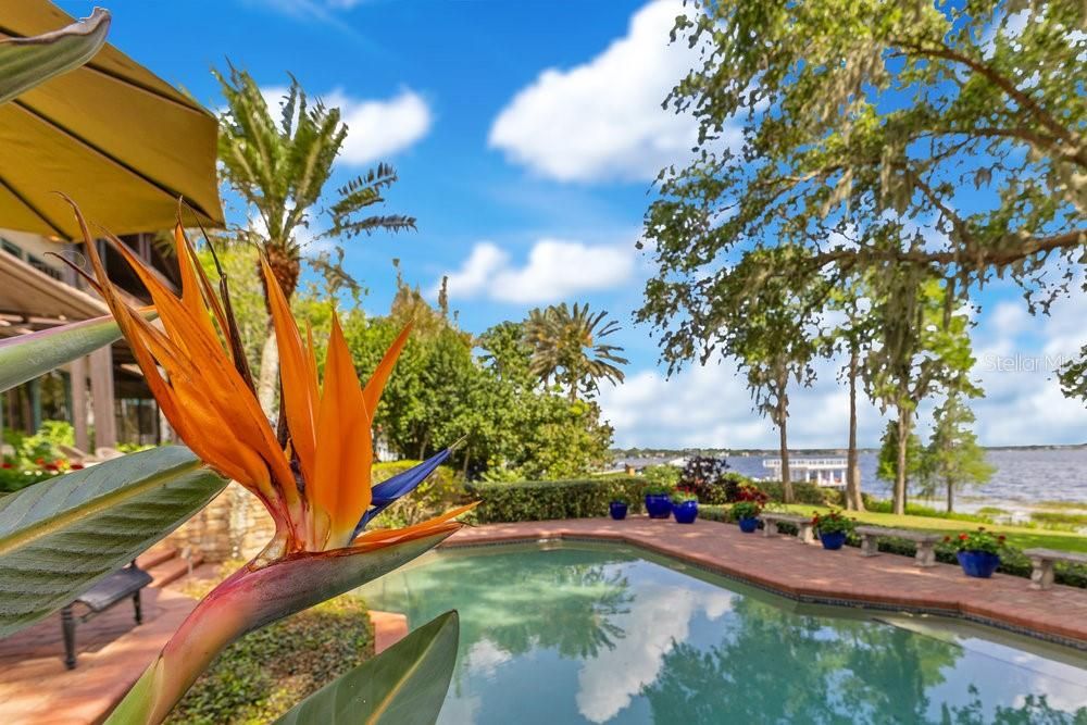 Exterior, Pool, Water