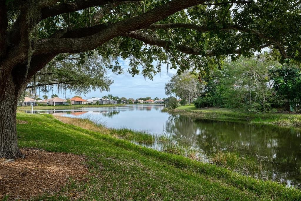 Exterior, Lake