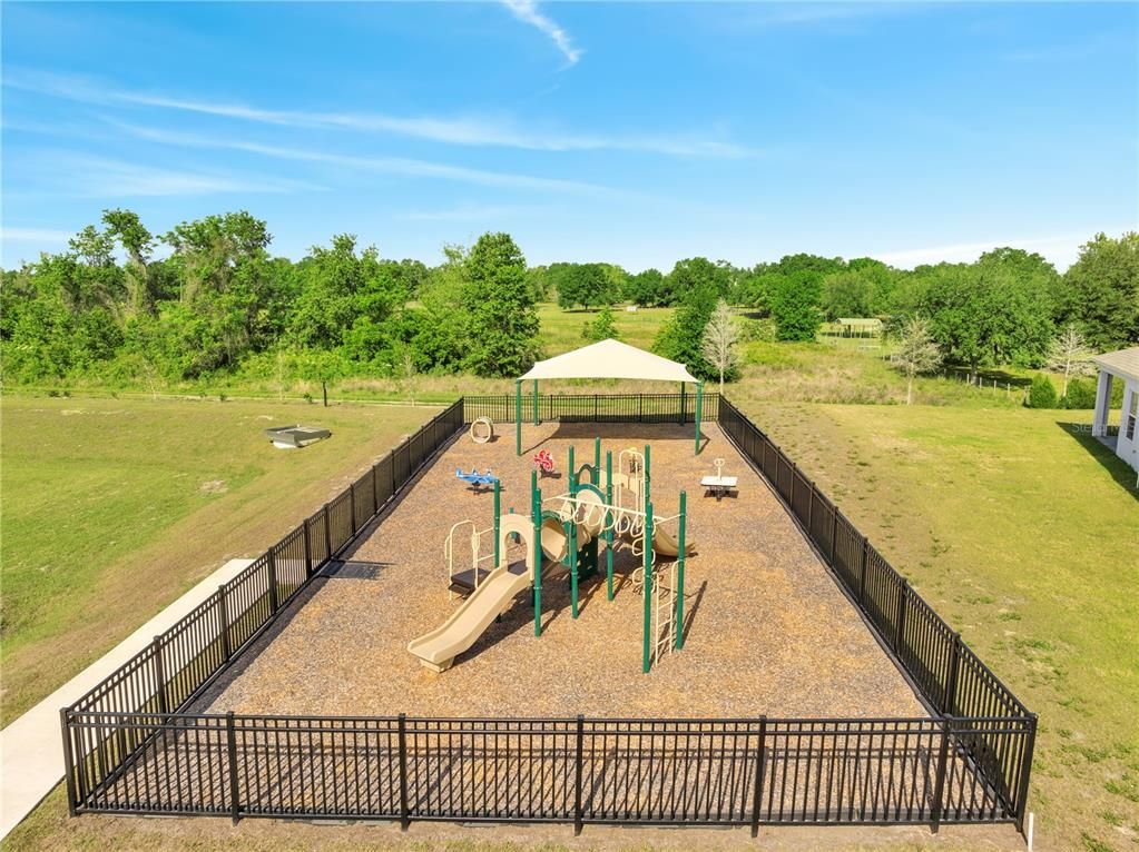 Backyard, Exterior, Playground