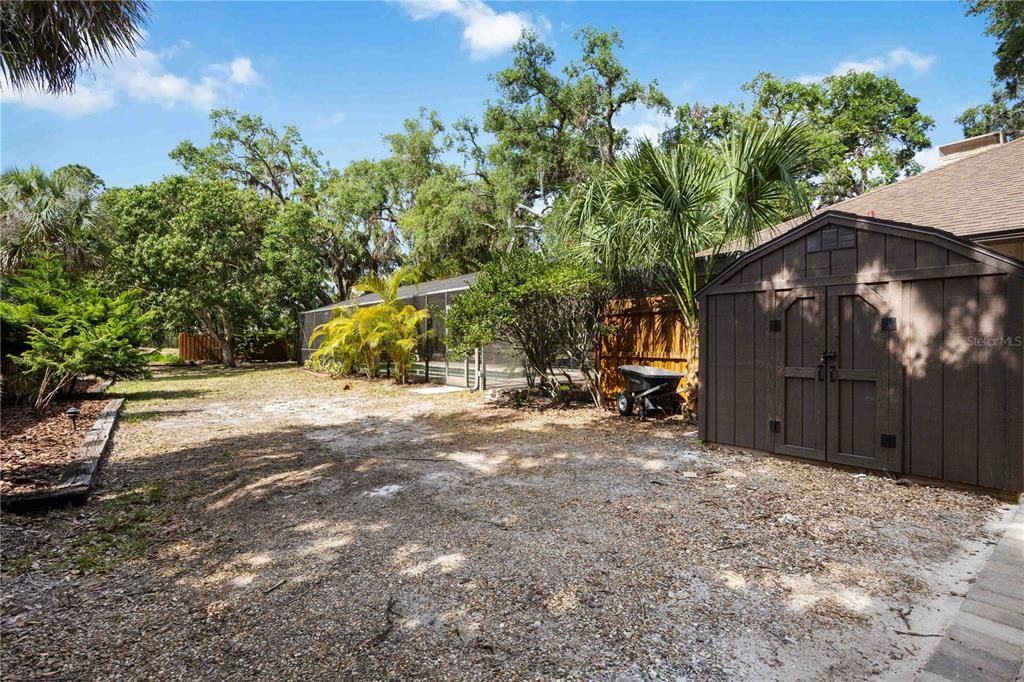 Backyard, Exterior