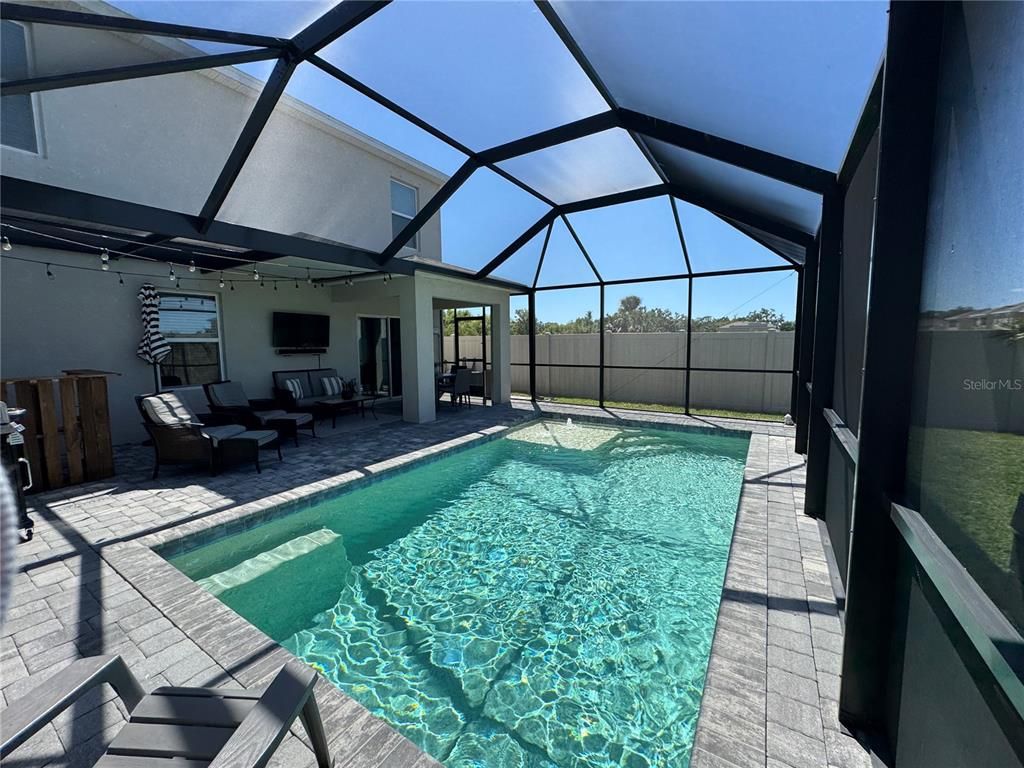 Glass Ceilings, Interior, Pool, Sun Room