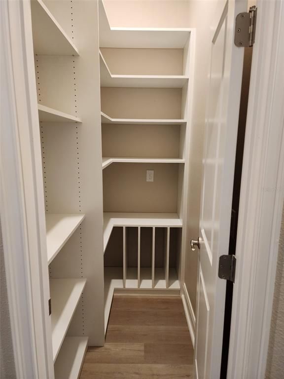 Interior, Walk-in Closets, Wood Texture Flooring