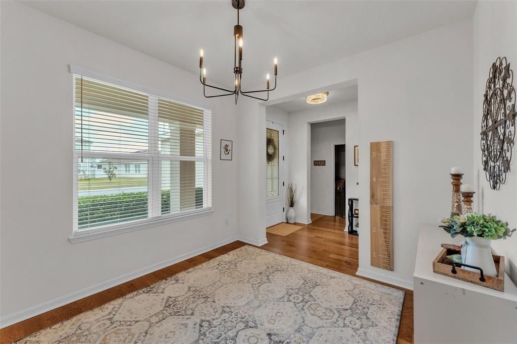 Chandelier, Interior, Wood Texture Flooring