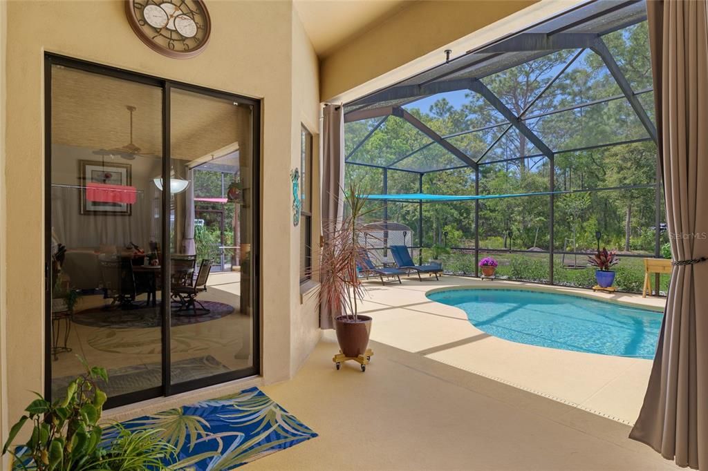 Glass Ceilings, Interior, Pool, Sun Room
