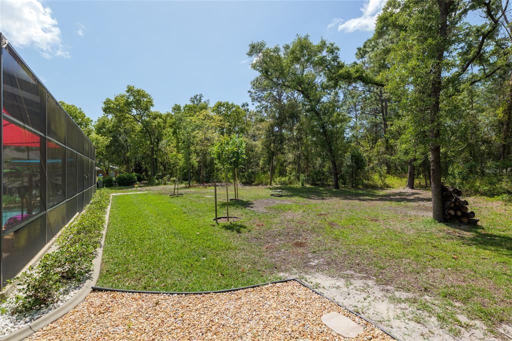 Backyard, Exterior