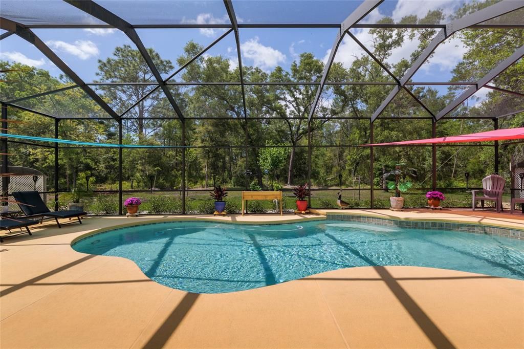 Glass Ceilings, Interior, Pool, Sun Room