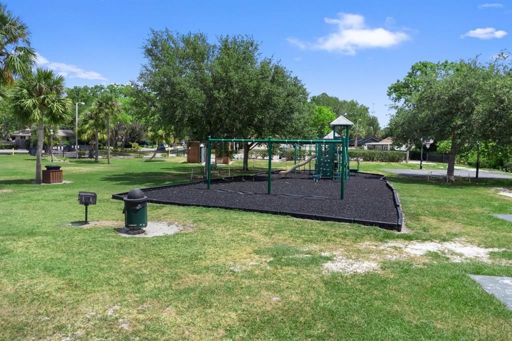 Backyard, Exterior, Playground