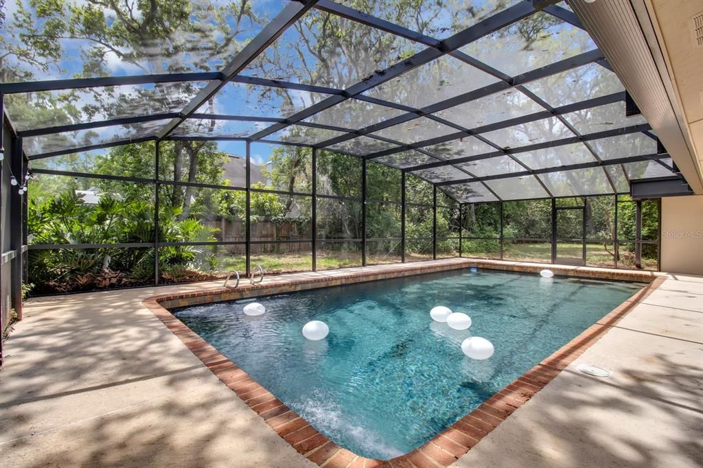 Glass Ceilings, Interior, Pool, Sun Room