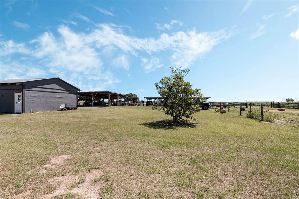 Backyard, Exterior
