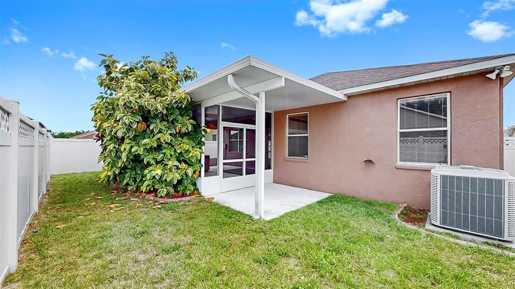 Backyard, Exterior