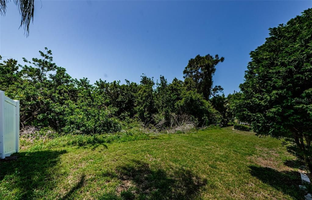 Backyard, Exterior