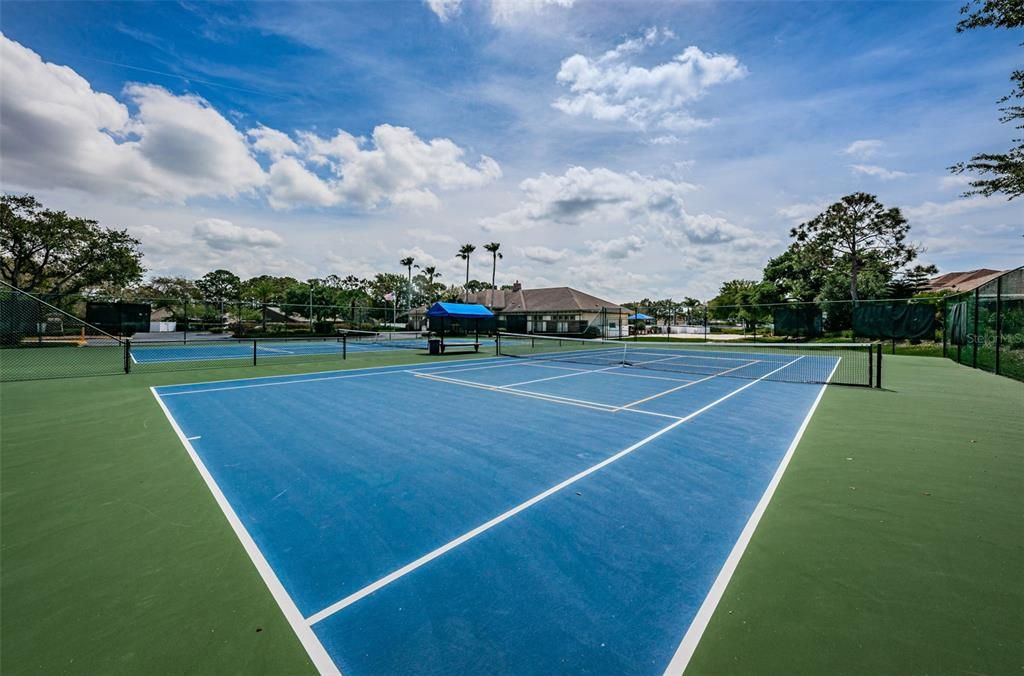 Exterior, Tennis Courts