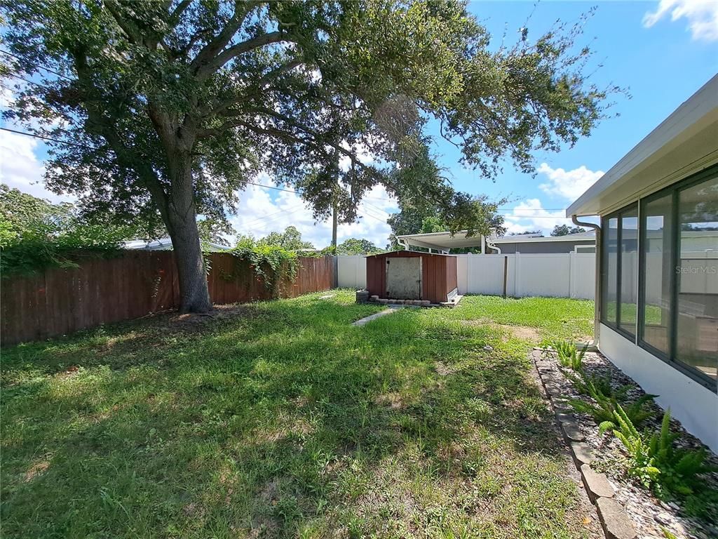 Backyard, Exterior