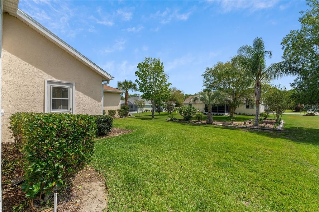 Backyard, Exterior
