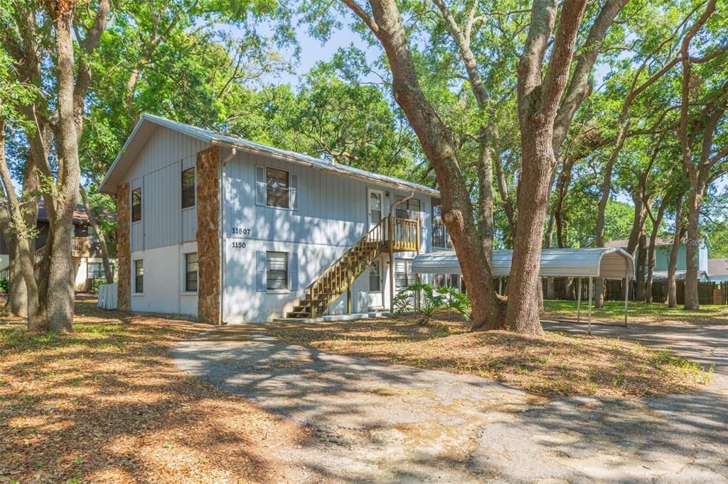 Backyard, Exterior