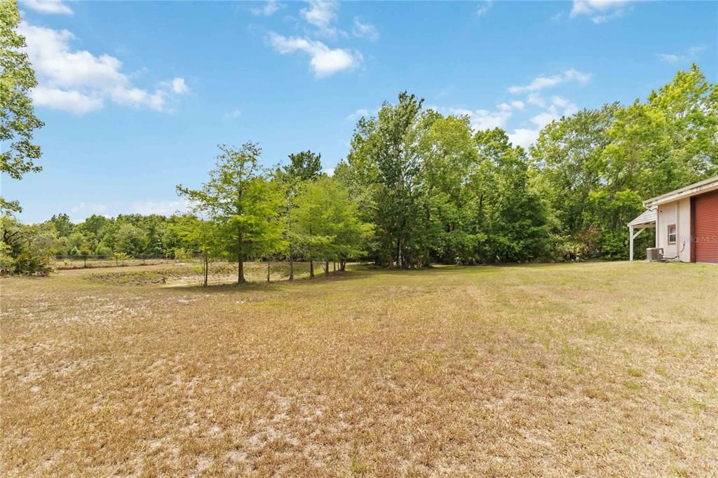 Backyard, Exterior