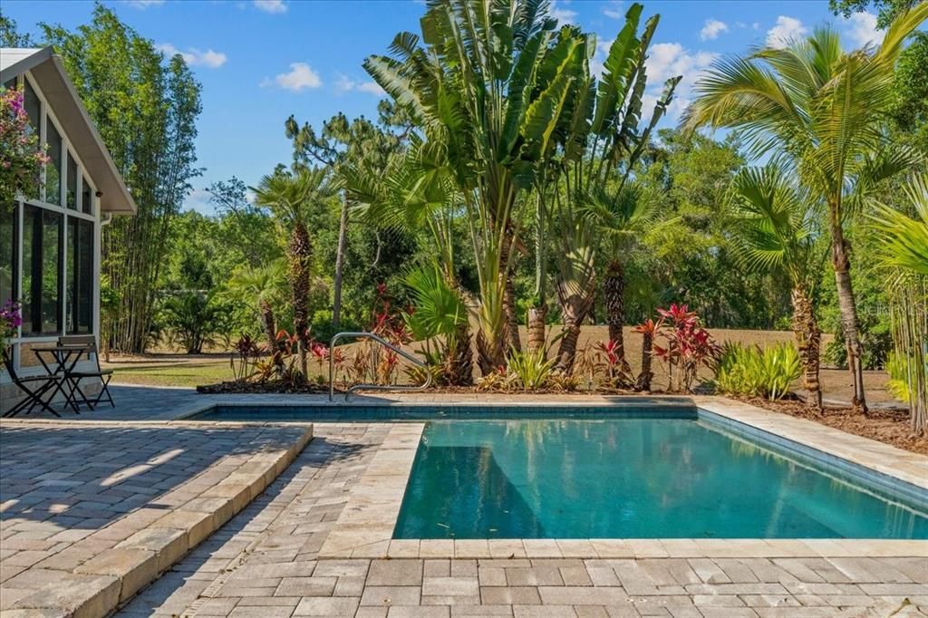 Exterior, Pool