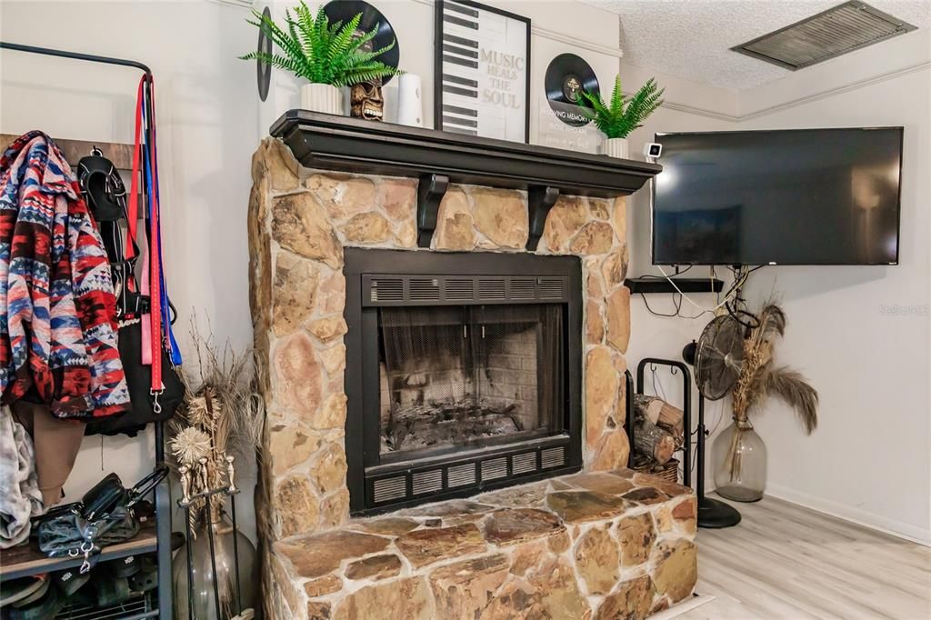 Fireplace, Interior, Wood Texture Flooring