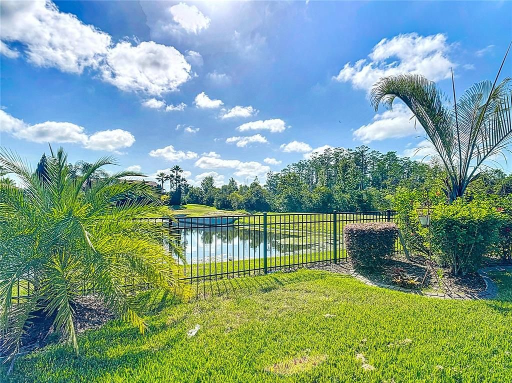 Backyard, Exterior, Water