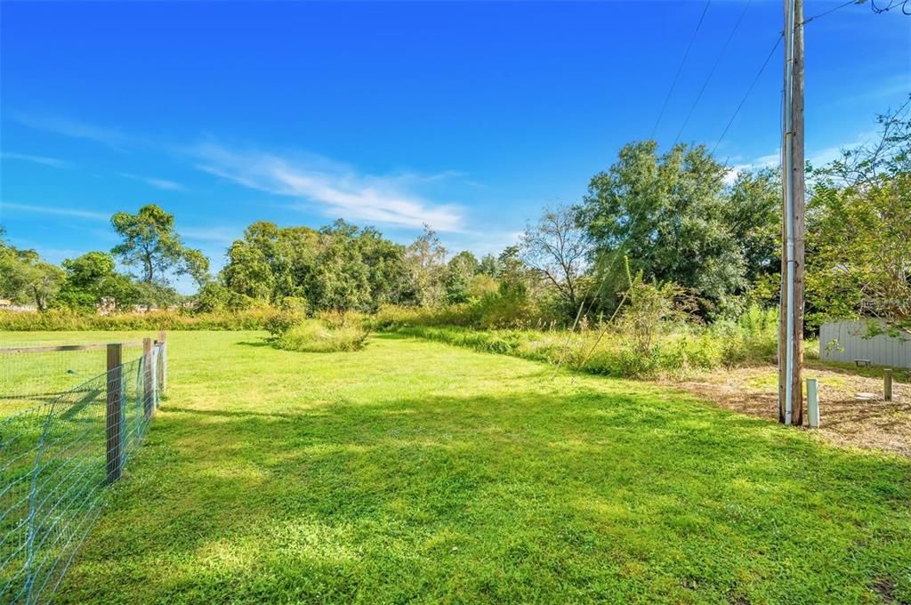 Backyard, Exterior