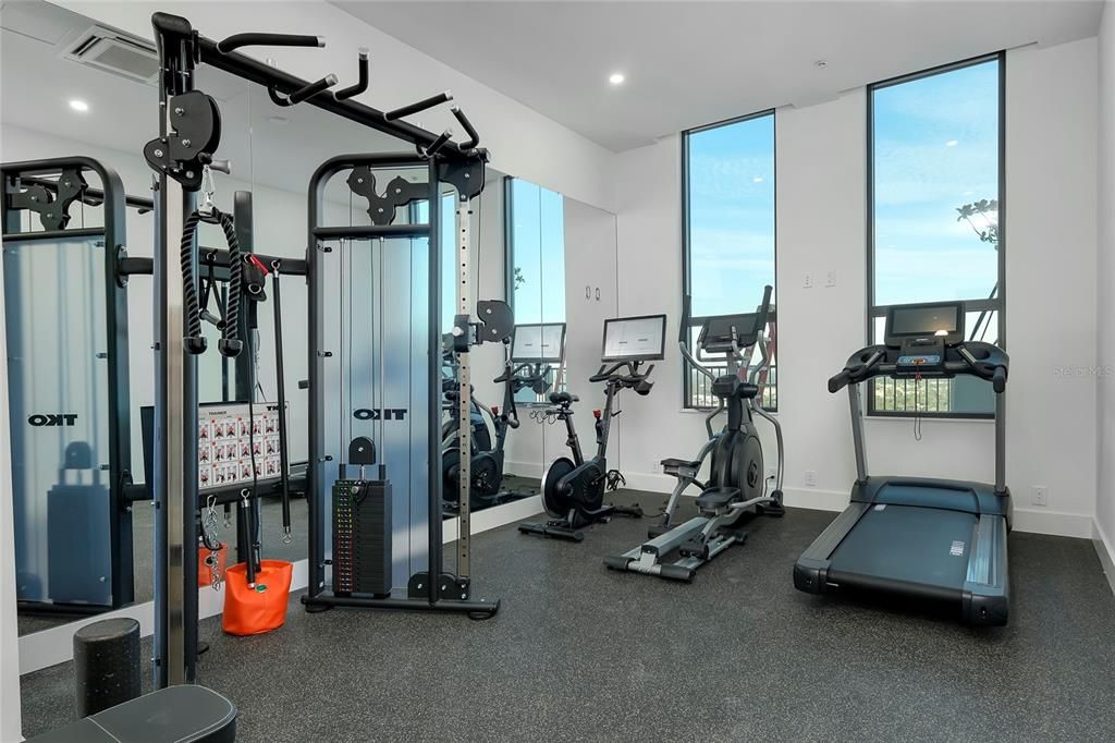 Fitness Equipment, Gym, Interior, Recessed Lighting