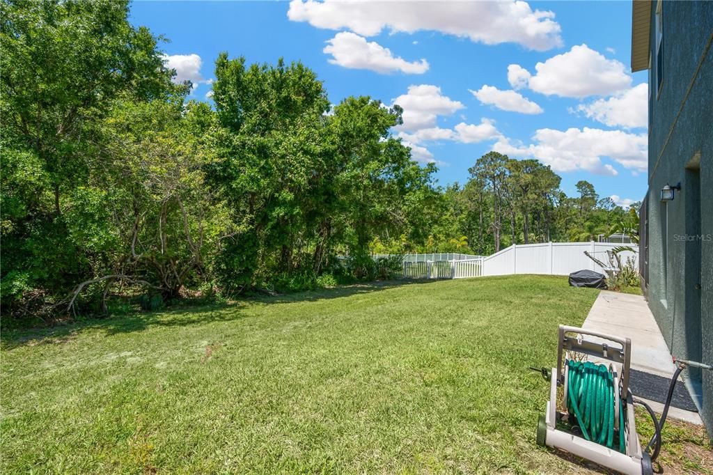 Backyard, Exterior