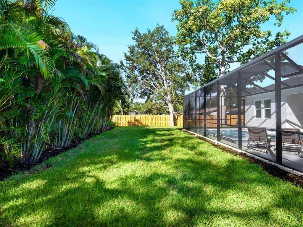 Backyard, Exterior