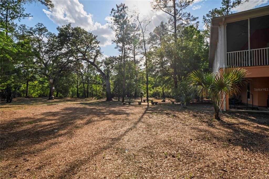 Backyard, Exterior