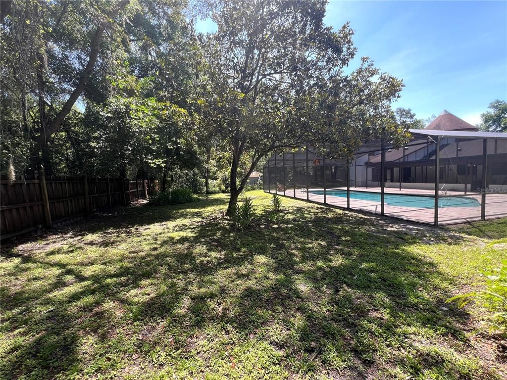 Backyard, Exterior, Pool