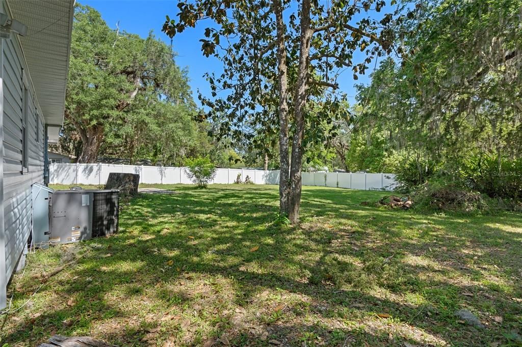 Backyard, Exterior