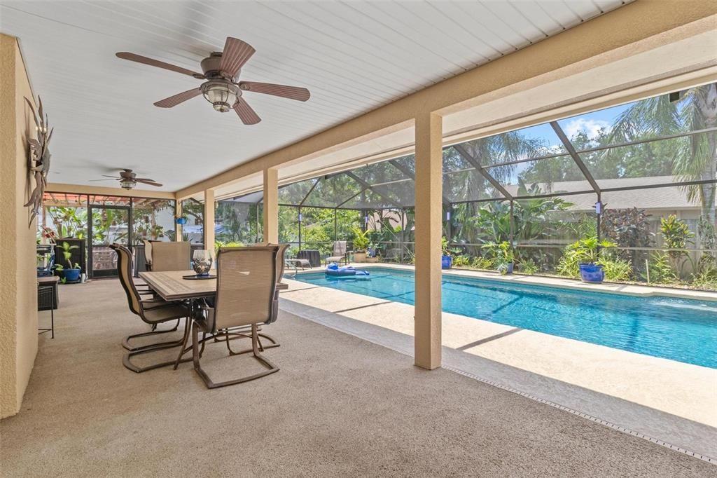 Glass Ceilings, Interior, Pool, Sun Room