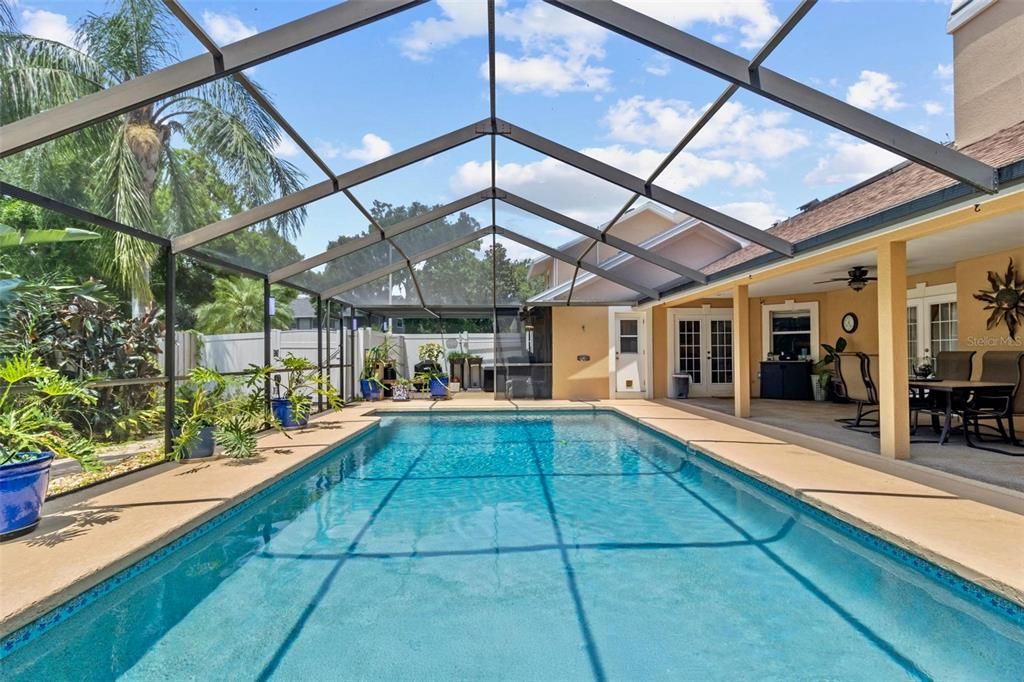 Glass Ceilings, Interior, Pool, Sun Room