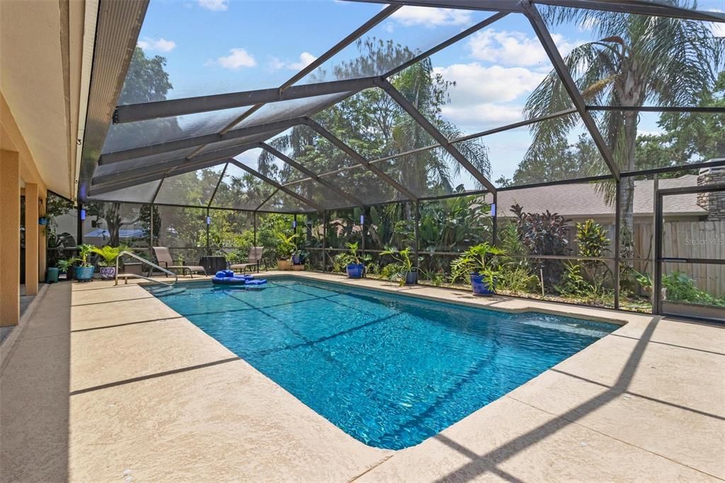 Glass Ceilings, Interior, Pool, Sun Room