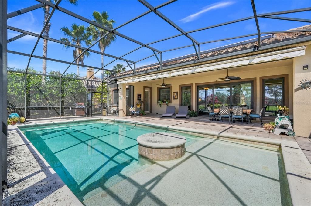 Glass Ceilings, Interior, Pool, Sun Room